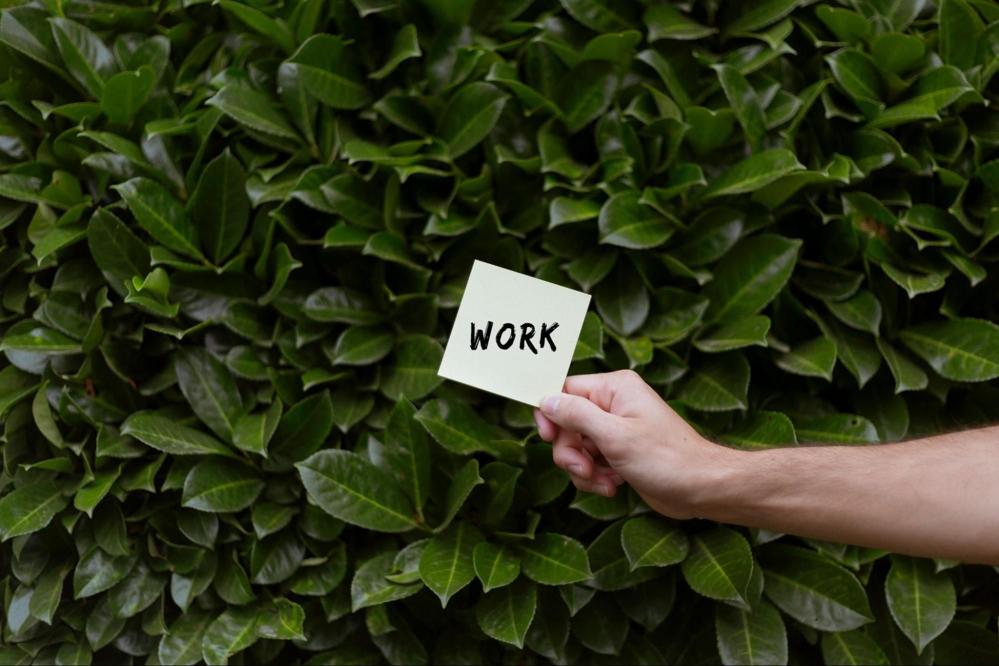Work-Green-Skills